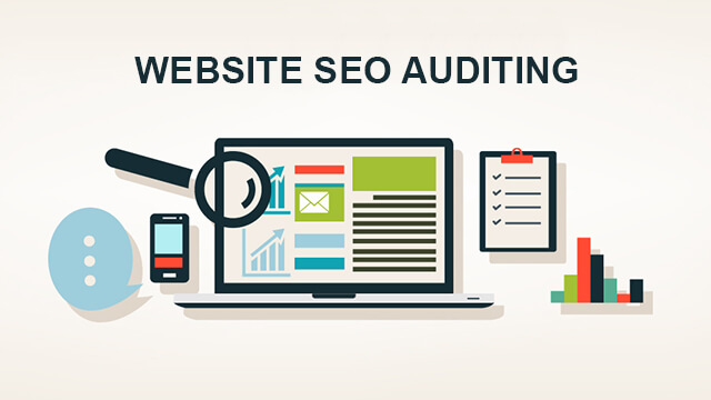SEO Audit Hamilton